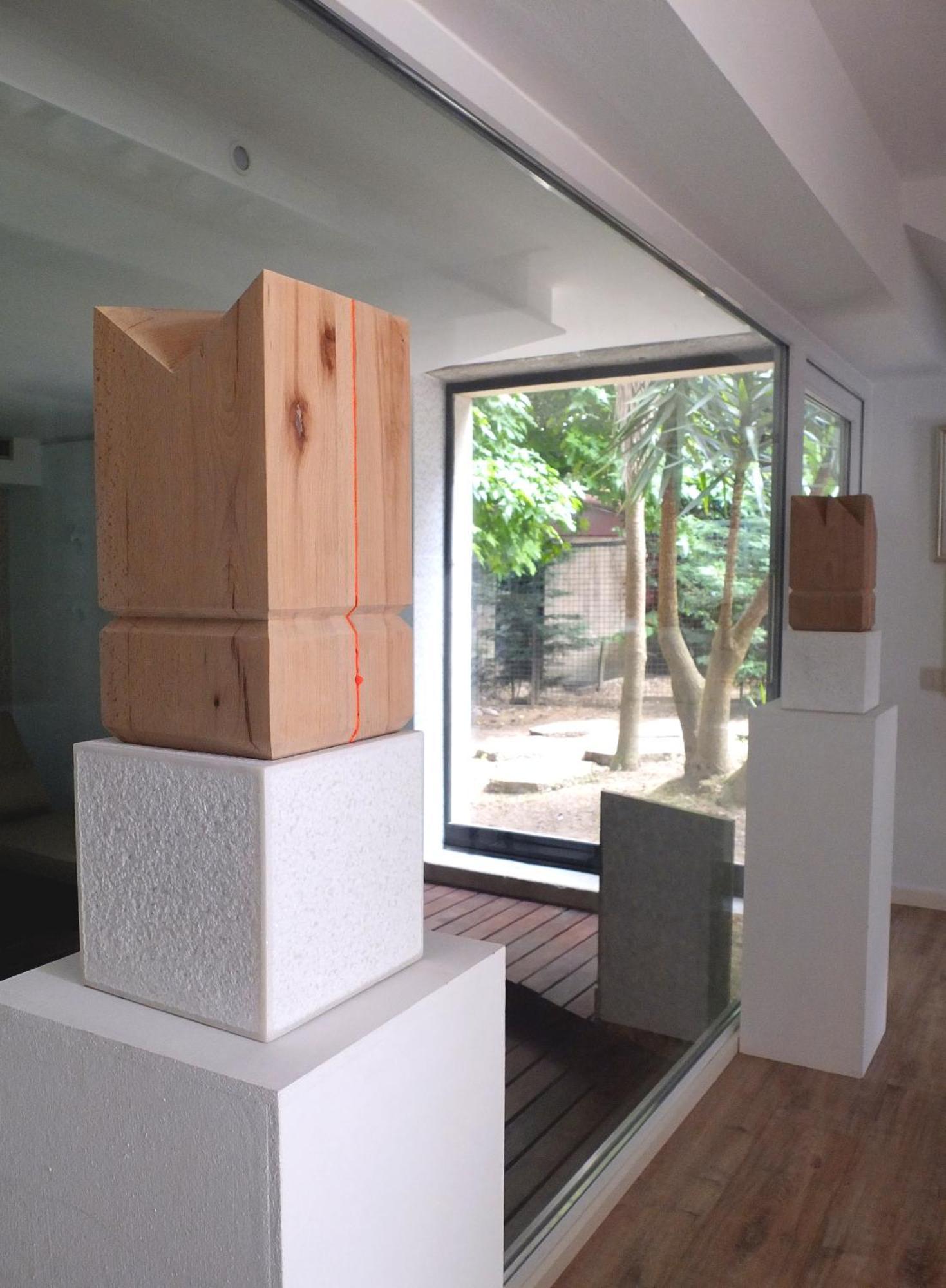 Family Secrets Santo Andre Villa ซังตามาเรีย ดา เฟย์รา ภายนอก รูปภาพ
