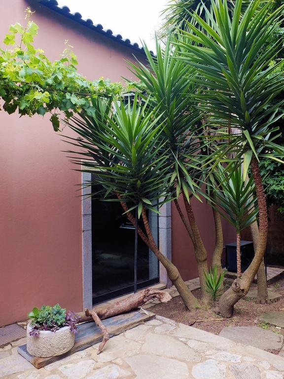Family Secrets Santo Andre Villa ซังตามาเรีย ดา เฟย์รา ภายนอก รูปภาพ