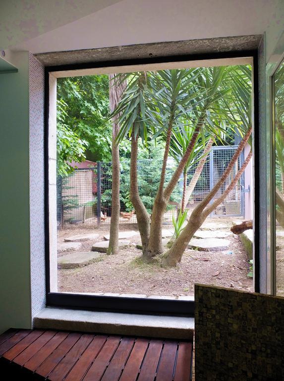 Family Secrets Santo Andre Villa ซังตามาเรีย ดา เฟย์รา ภายนอก รูปภาพ